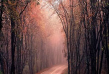 [澳网]张盛：小兹韦列夫心态方面有很大提升.