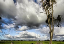 非凡娱乐:英媒:热刺选帅名单上曾有恩里克,如今后者距不败夺冠仅一步之遥.