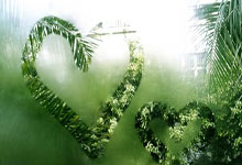 WTT球星挑战赛多哈站:国乒2金2银收官新华网.